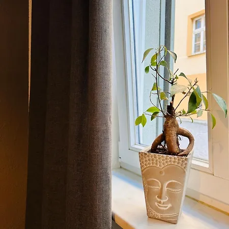 Charmante Altstadtwohnung Ortenburgglueck *